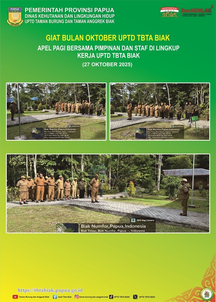 Dokumentasi Bulan Oktober 2025 (Bagian 3)