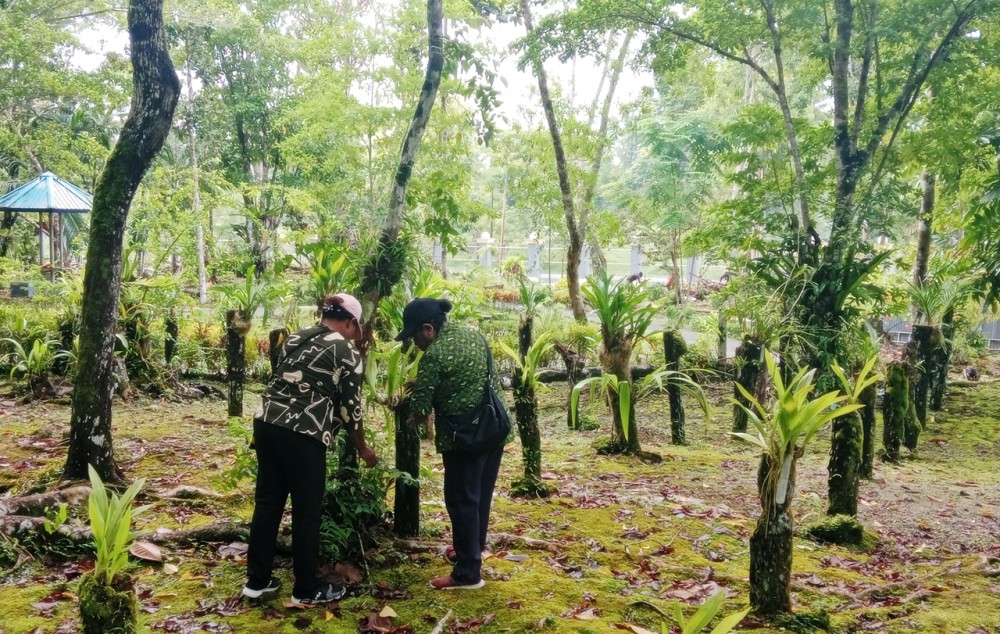 Rutinitas Tbta Biak - pengecekan dan pemeliharaan Tanaman Anggrek