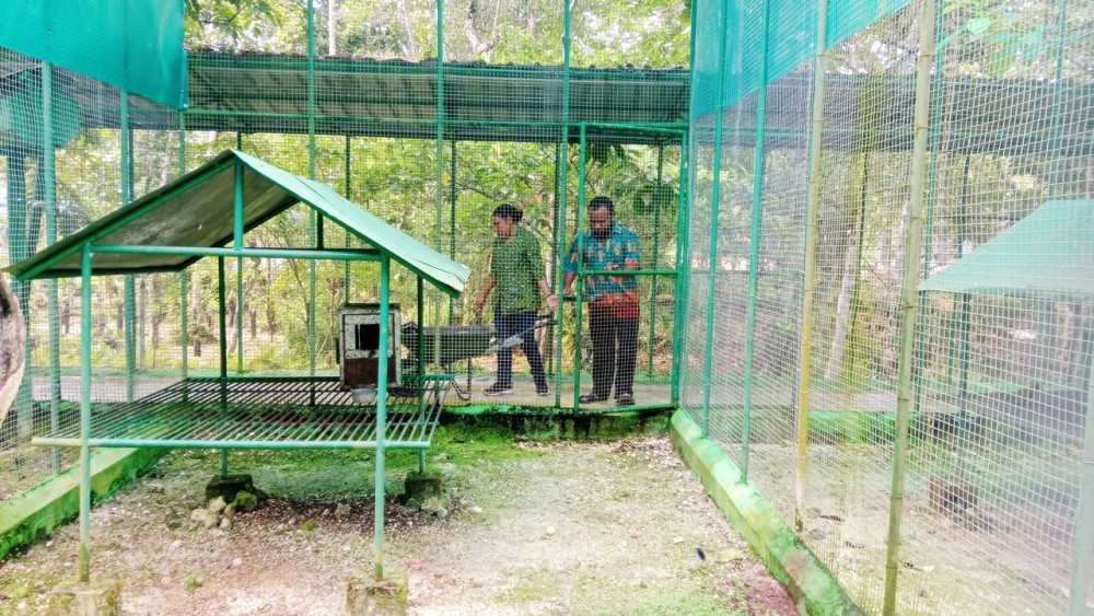 Rutinitas Pemberian Makanan Burung