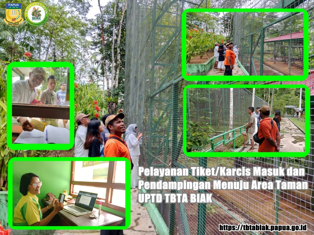 Tamu Pengunjung Tbta Biak / Wisatawan Dalam Negeri