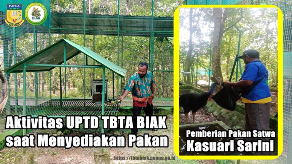 Rutinitas UPTD TBTA BIAK di Bulan Februari 2025