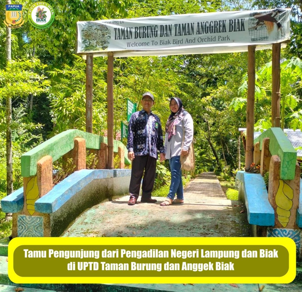 Tamu Pengunjung dari Pengadilan Negeri Lampung dan Pengadilan Negeri Biak