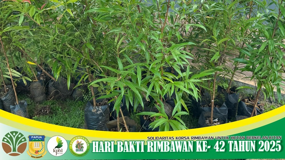 Menyongsong HBR 2025 - Penanaman Bibit Pohon (Bag 1)