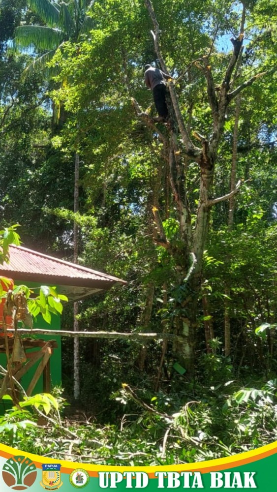 Dokumentasi Aktivitas Kerja Perawatan dan Pemeliharaan Taman