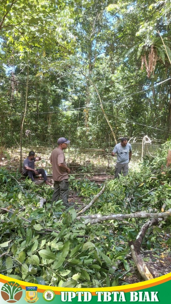 Dokumentasi Aktivitas Kerja Perawatan dan Pemeliharaan Taman