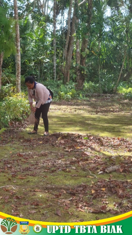Dokumentasi Aktivitas Kerja Perawatan dan Pemeliharaan Taman