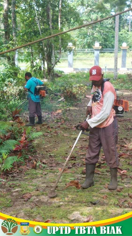 Dokumentasi Aktivitas Kerja Perawatan dan Pemeliharaan Taman