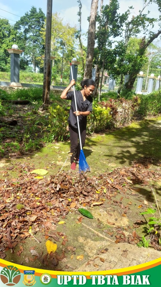 Dokumentasi Aktivitas Kerja Perawatan dan Pemeliharaan Taman