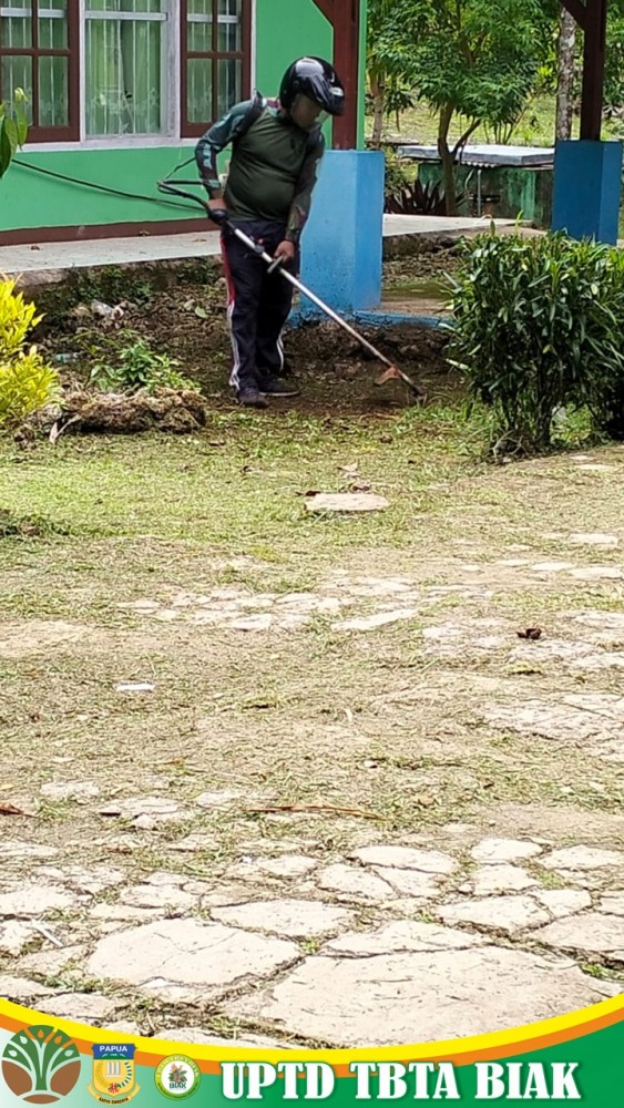 Dokumentasi Aktivitas Kerja Perawatan dan Pemeliharaan Taman