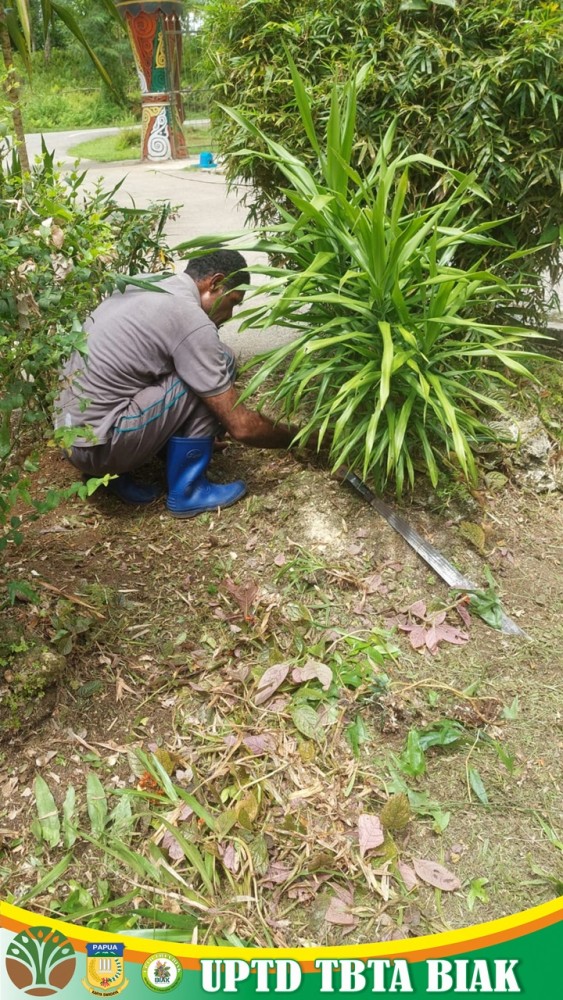 Dokumentasi Aktivitas Kerja Perawatan dan Pemeliharaan Taman