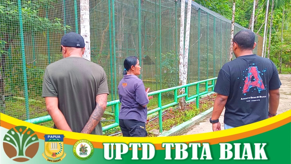 Kunjungan Tamu Asing dan Anggota Komisi II DPRP Papua