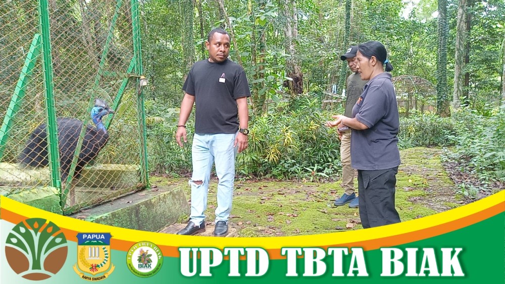 Kunjungan Tamu Asing dan Anggota Komisi II DPRP Papua