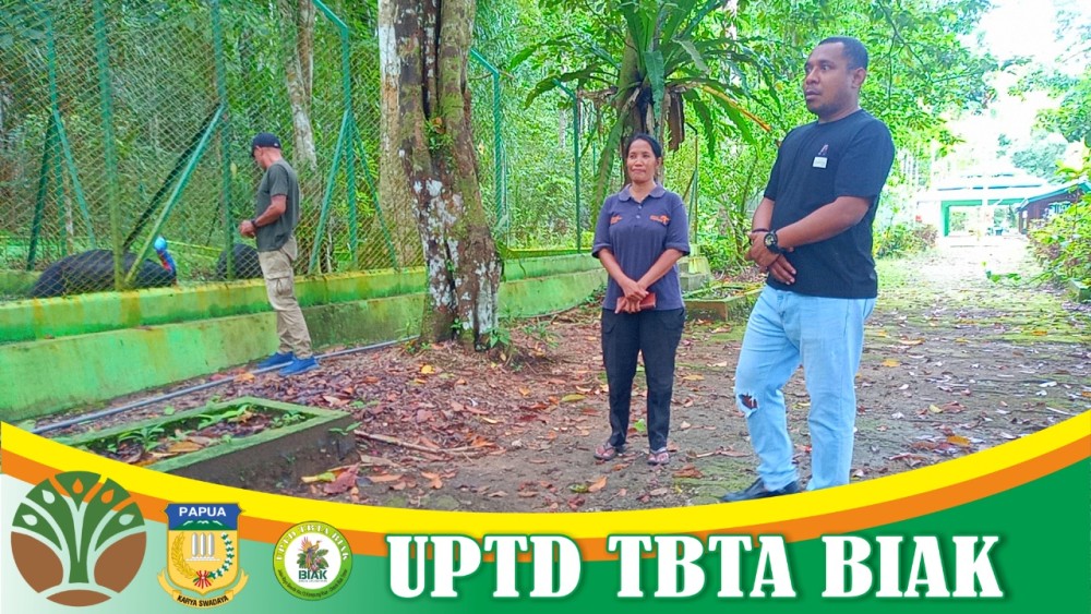 Kunjungan Tamu Asing dan Anggota Komisi II DPRP Papua