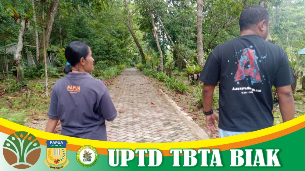 Kunjungan Tamu Asing dan Anggota Komisi II DPRP Papua