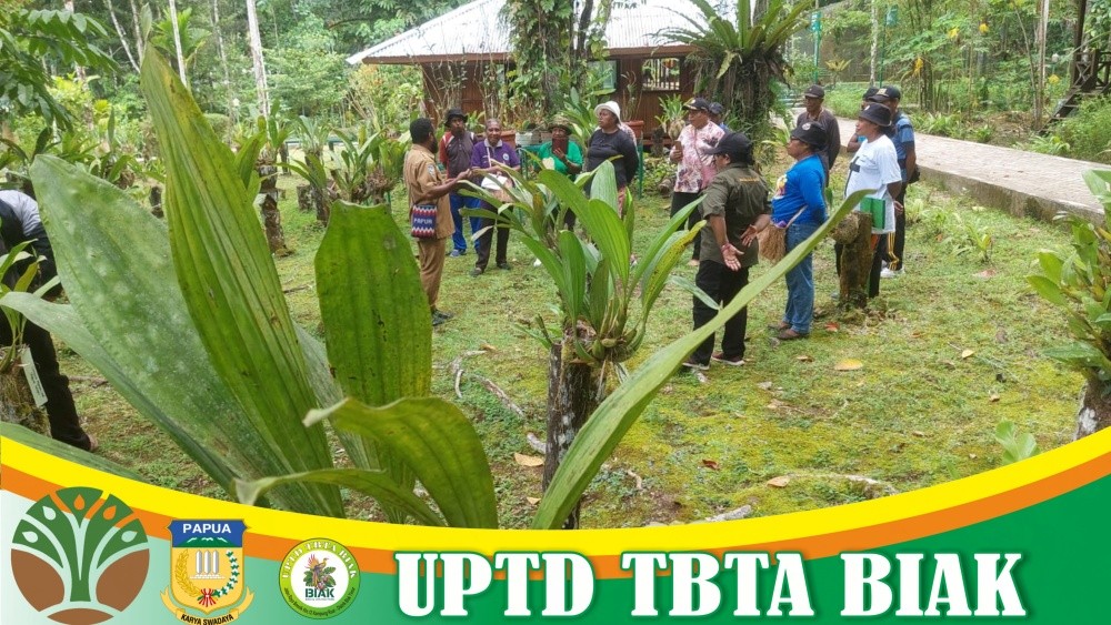 Kunjungan Edukasi - (GKI Marantha Biak & TK Lentera Harapan Biak)
