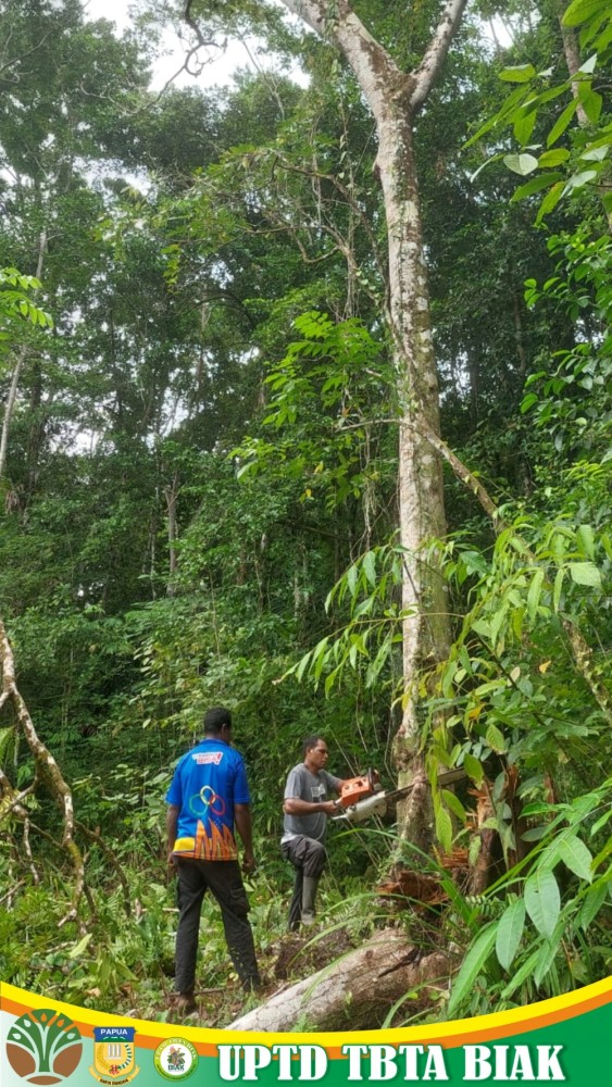 Dok Tamu Pengunjung dan Kerja Bakti di TBTA BIAK Bulan April 2025