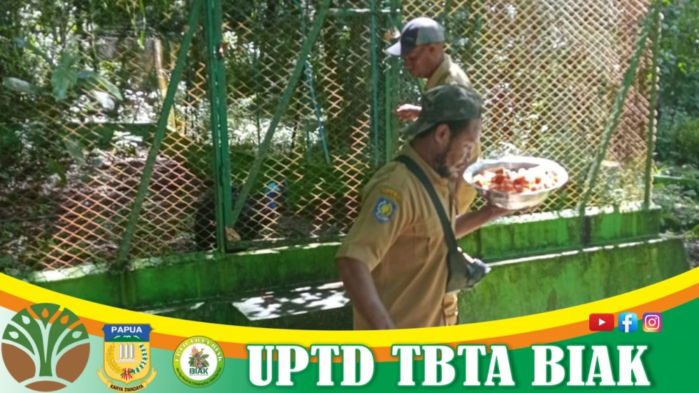 APEL AWAL MEI dan Giat Dapur