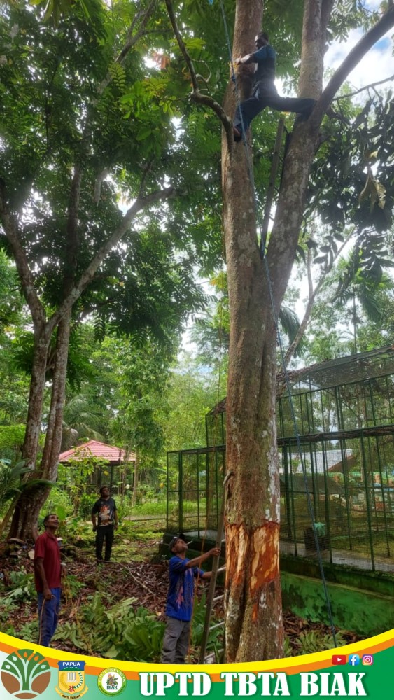 Giat Kerja Pemeliharaan Gedung dan Pembersihan