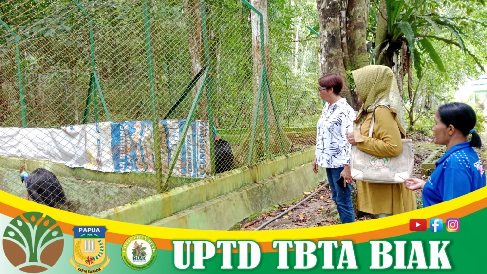 Pengunjung Wisata Awal Mei - (Tamu dari Manado)