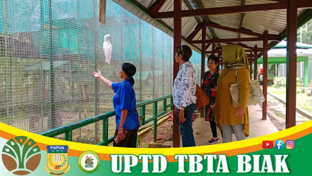 Pengunjung Wisata Awal Mei - (Tamu dari Manado)