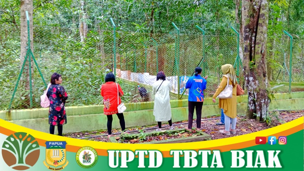 Pengunjung Wisata Awal Mei - (Tamu dari Manado)