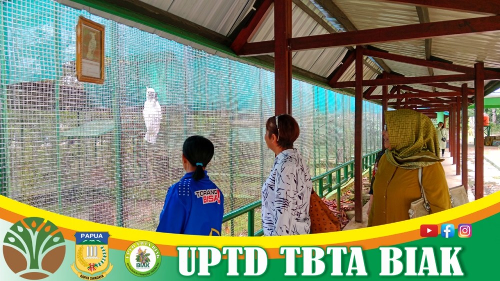 Pengunjung Wisata Awal Mei - (Tamu dari Manado)