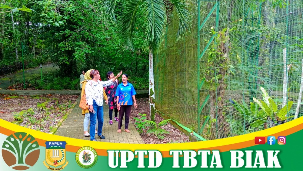 Pengunjung Wisata Awal Mei - (Tamu dari Manado)