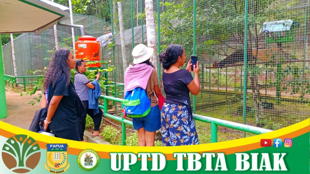 Pengunjung Wisata Mei - Tamu dari Jayapura