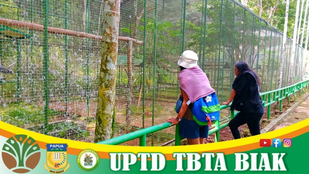 Pengunjung Wisata Mei - Tamu dari Jayapura