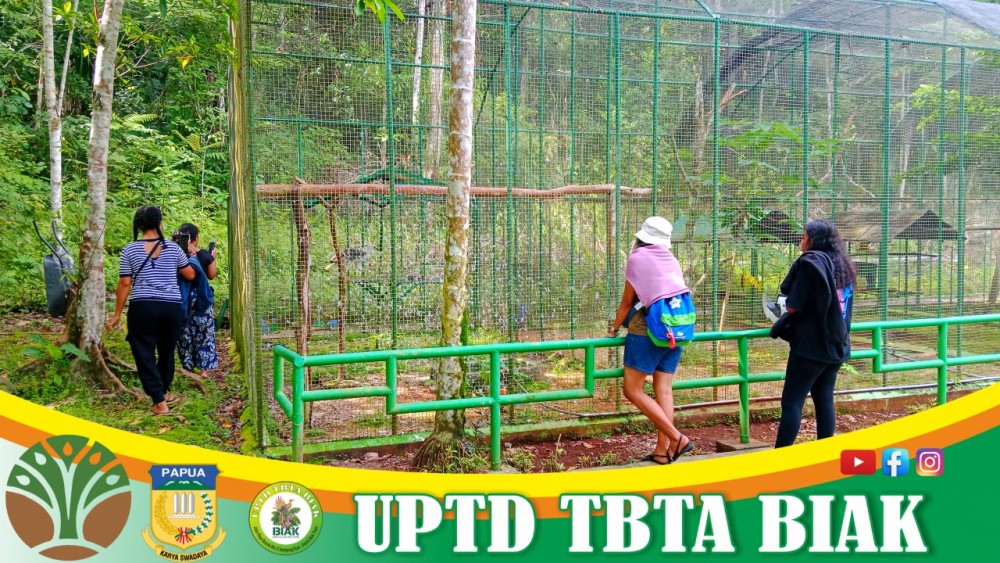 Pengunjung Wisata Mei - Tamu dari Jayapura