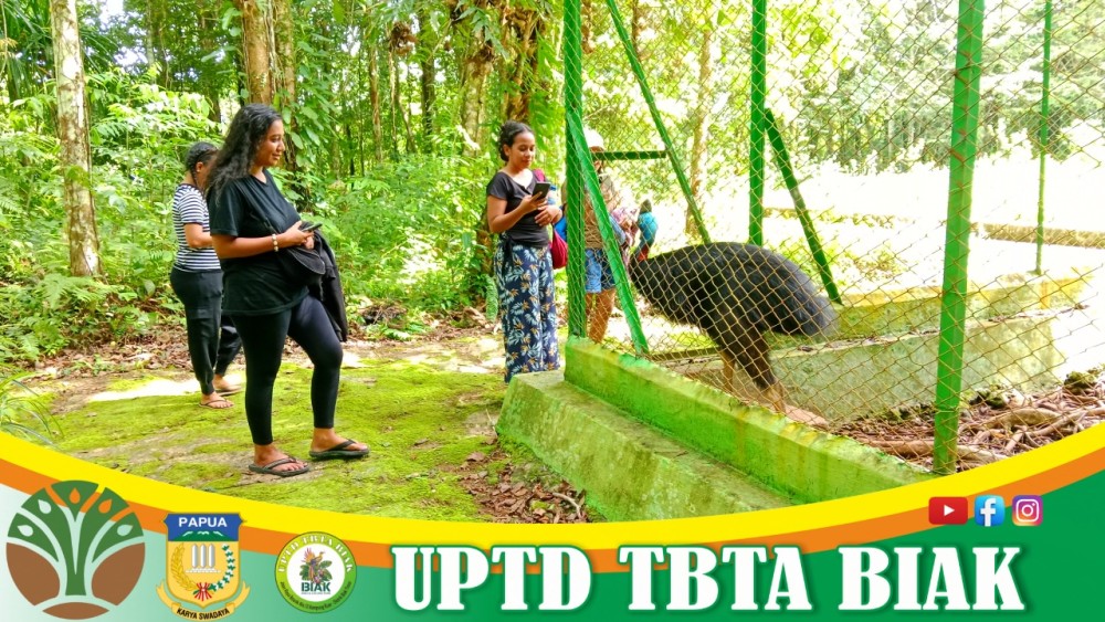 Pengunjung Wisata Mei - Tamu dari Jayapura