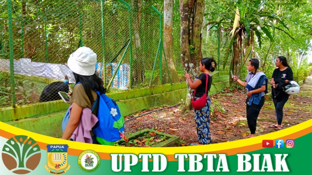 Pengunjung Wisata Mei - Tamu dari Jayapura