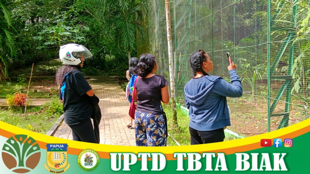 Pengunjung Wisata Mei - Tamu dari Jayapura