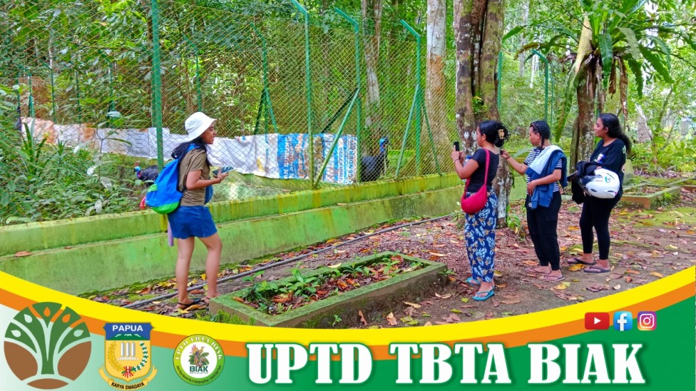 Pengunjung Wisata Mei - Tamu dari Jayapura