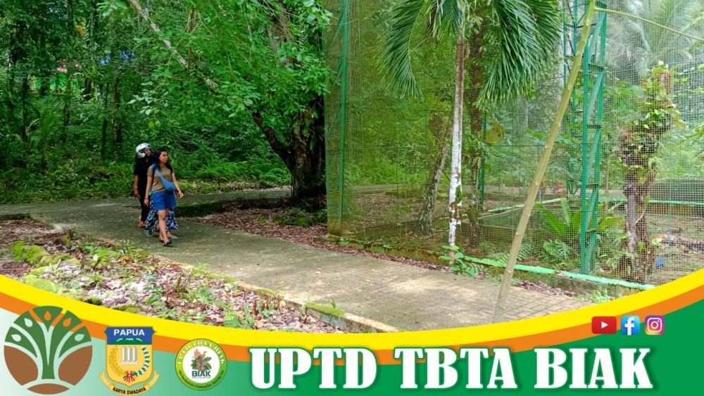 Pengunjung Wisata Mei - Tamu dari Jayapura